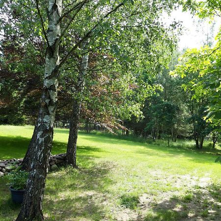 Powrocisz Tu... Villa Sorkwity Exteriör bild